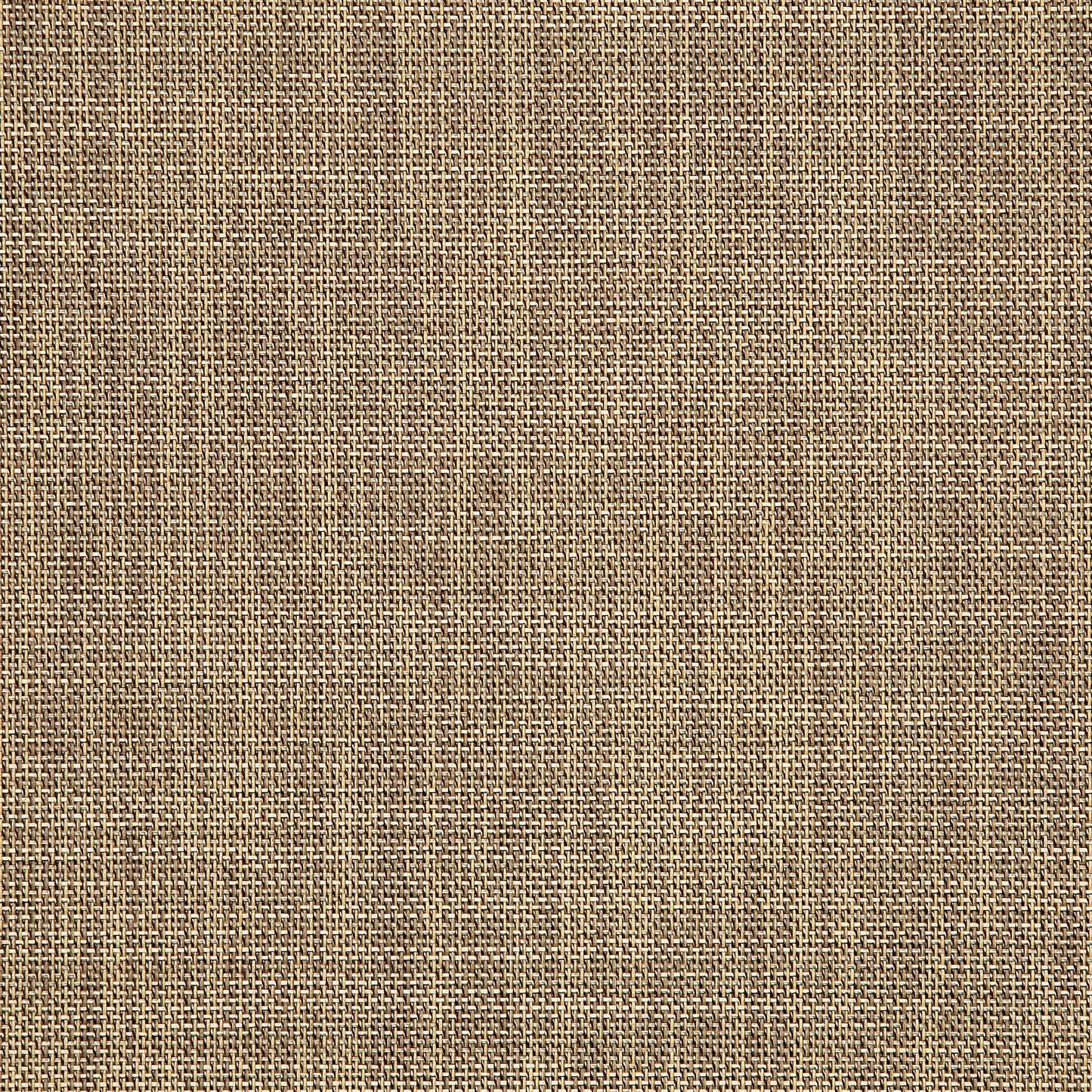 Sunbrella® Sling Upholstery 54" Augustine Fennel 5928-0033