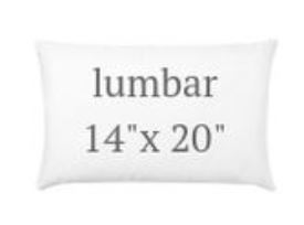 Lumbar 14 x 20