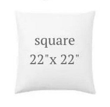 Pillow: Square 22 x 22